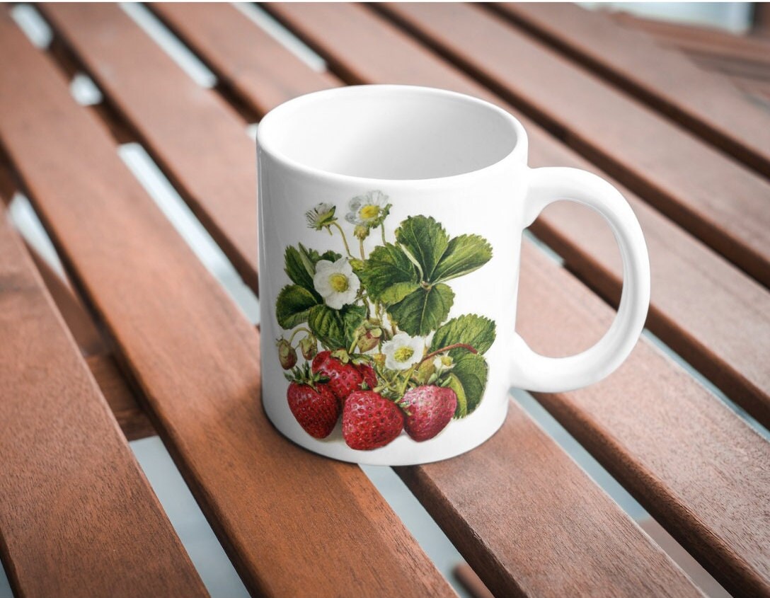 Gozdne jagode – sladki trenutki vedrine